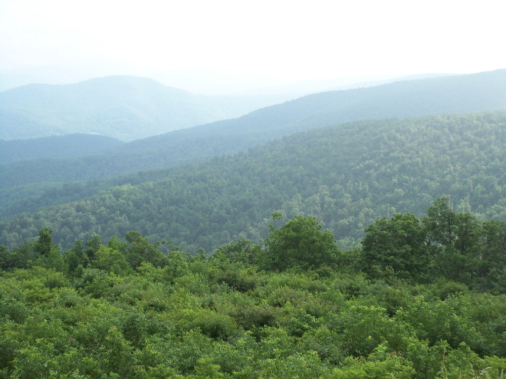 100_0991.jpg